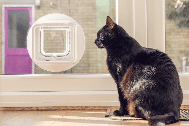 sureflap_microchip_cat_flap_connect_caspian_small-768x512-1_optimized.png