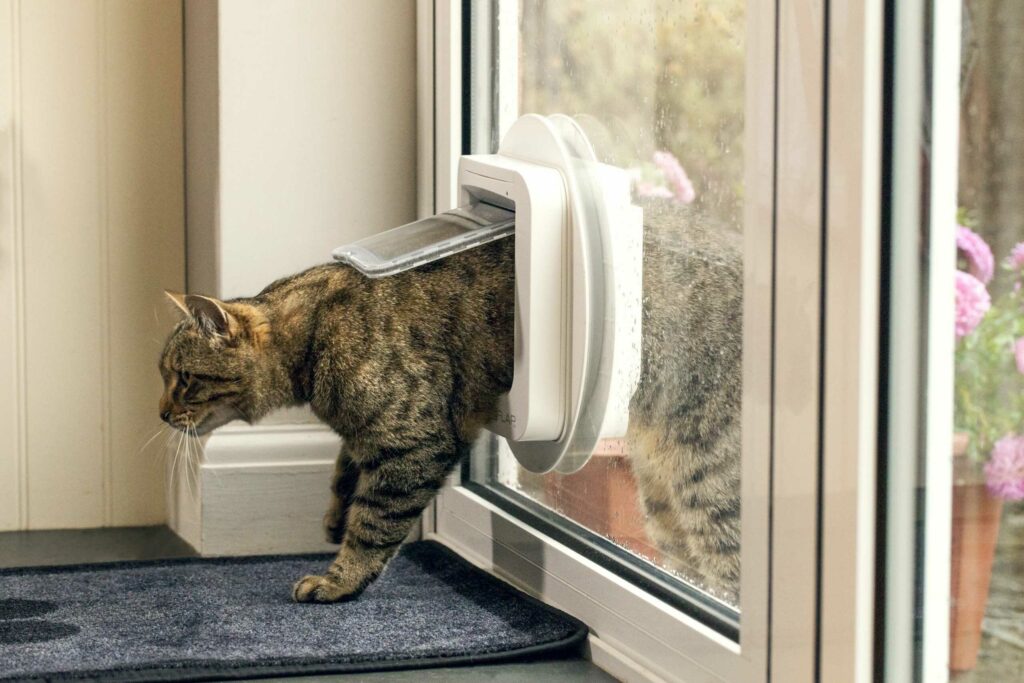 sureflap_microchip_cat_flap_side_on_glass-scaled-2_optimized.jpg